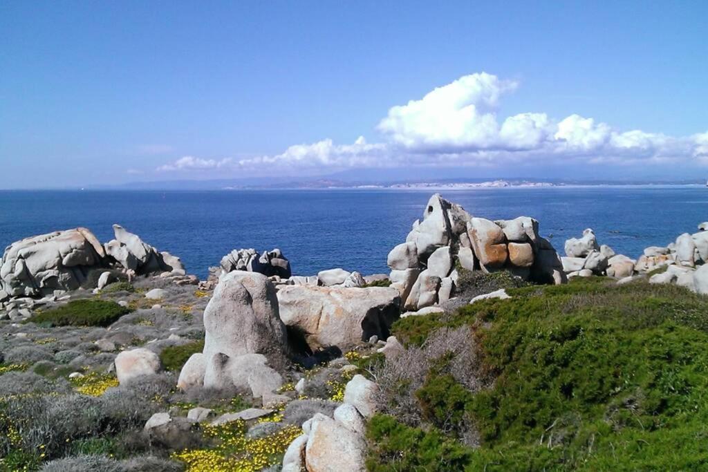 Una Splendida Terrazza Sul Mare Santa Teresa Gallura Exteriör bild
